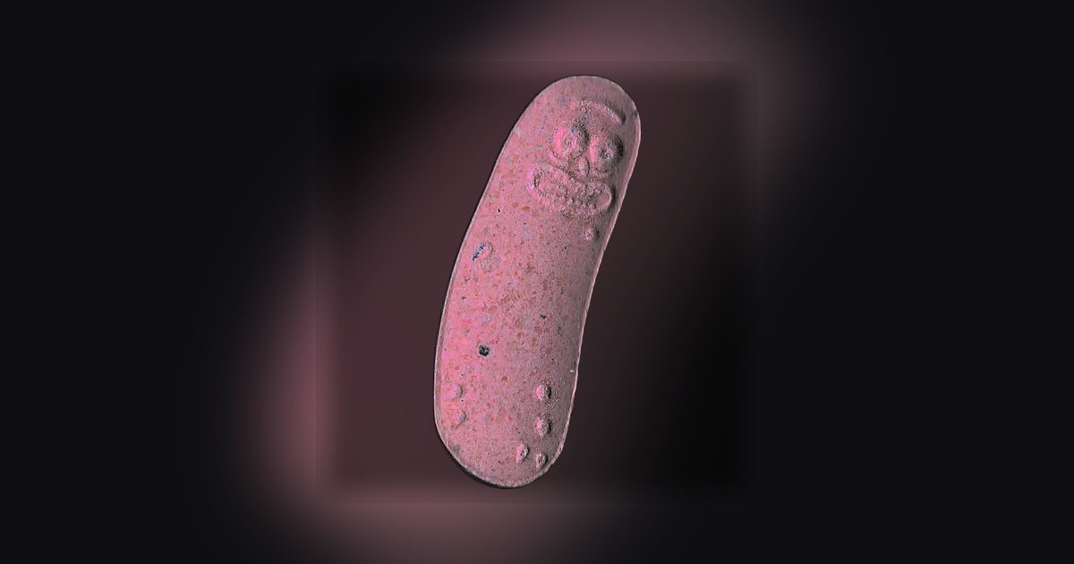 Pickle Rick
