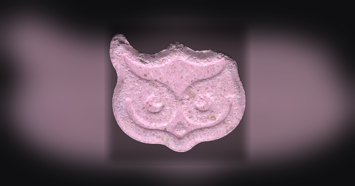 Panama, Owl