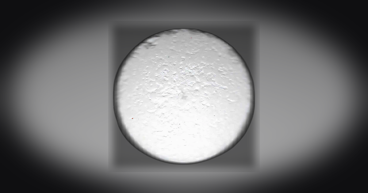 Caffeine (65mg)