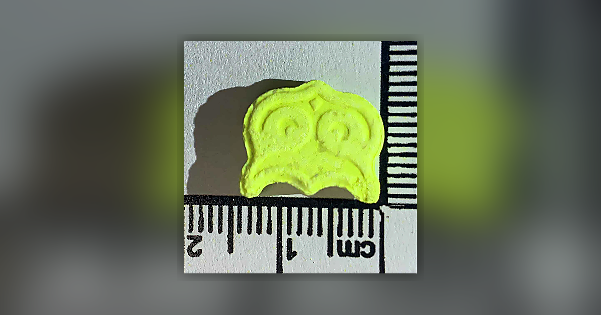 Panama, Owl