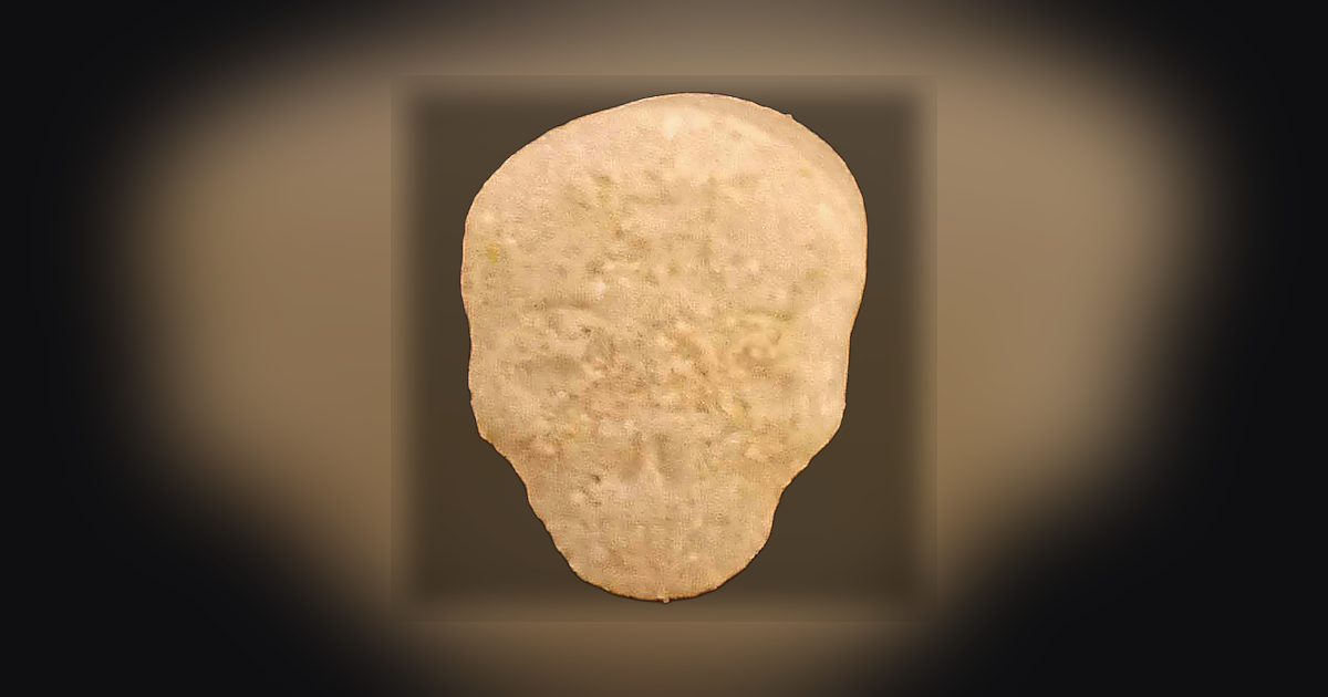 Skull