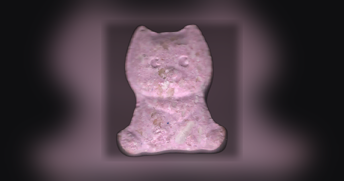 Shiba