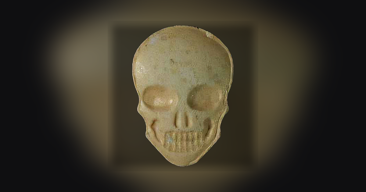 Skull