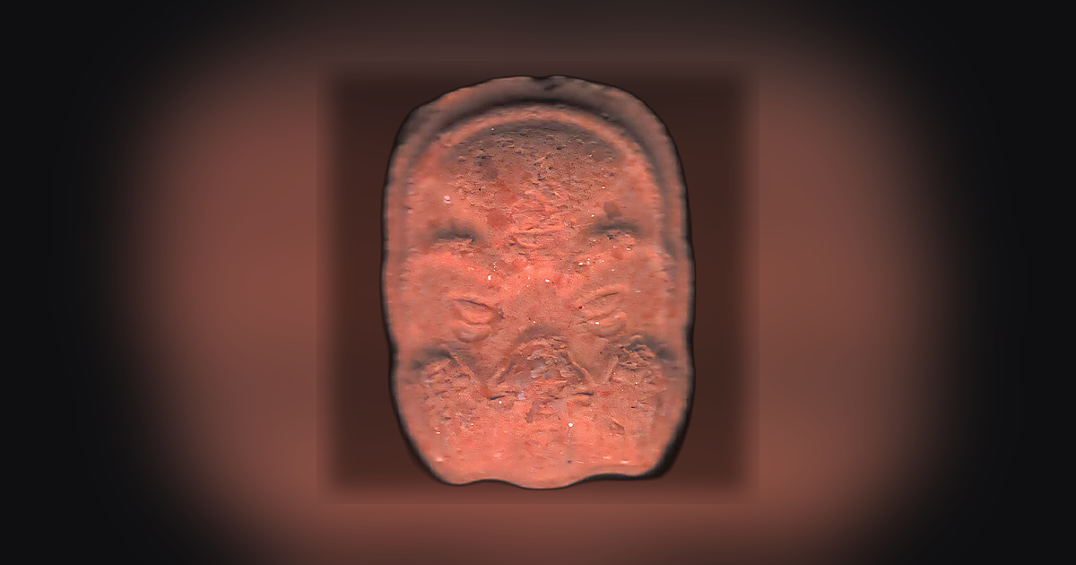 Skull