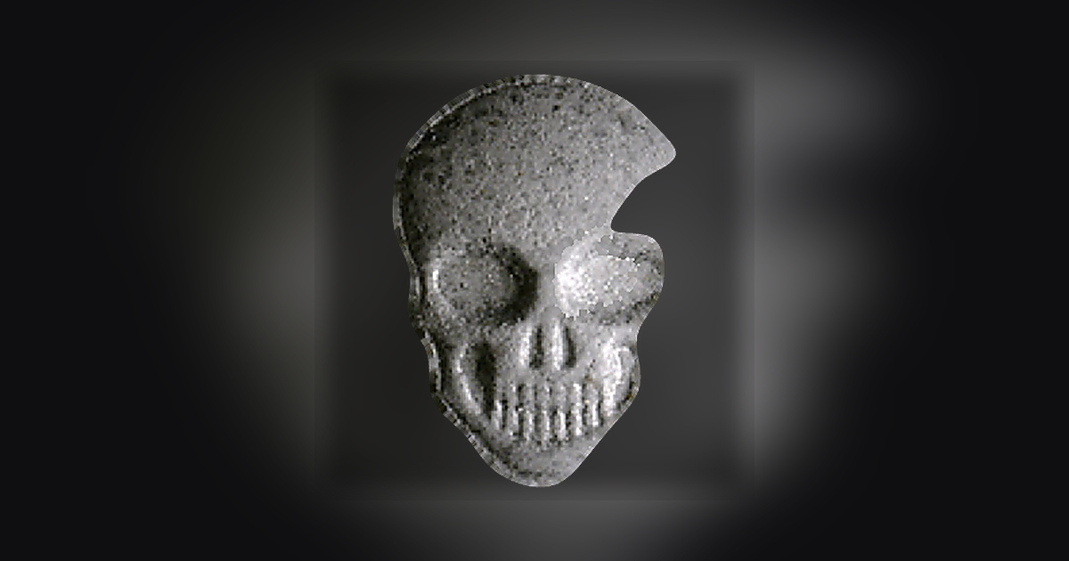 Skull, MyBrand