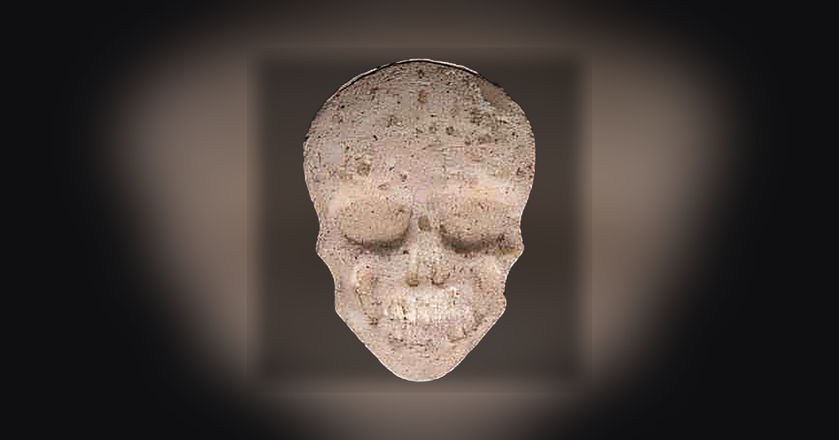 Skull