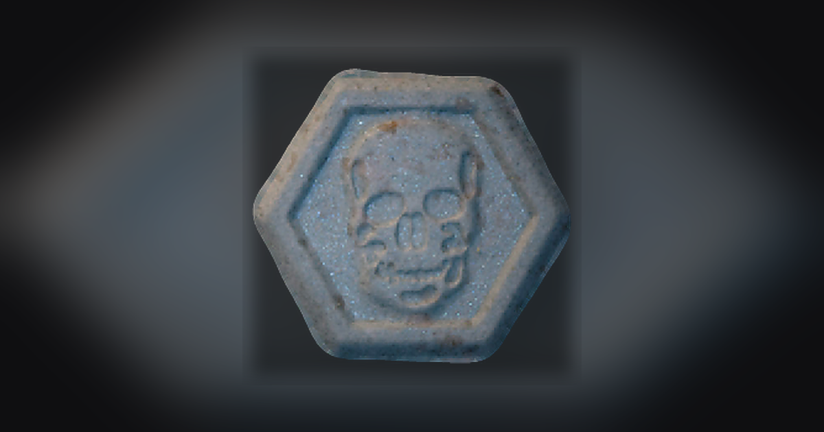 Skull, Philipp Plein