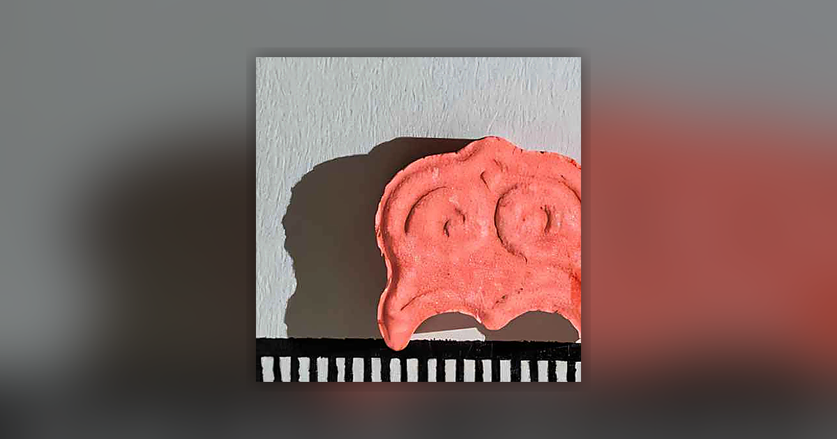 Panama, Owl