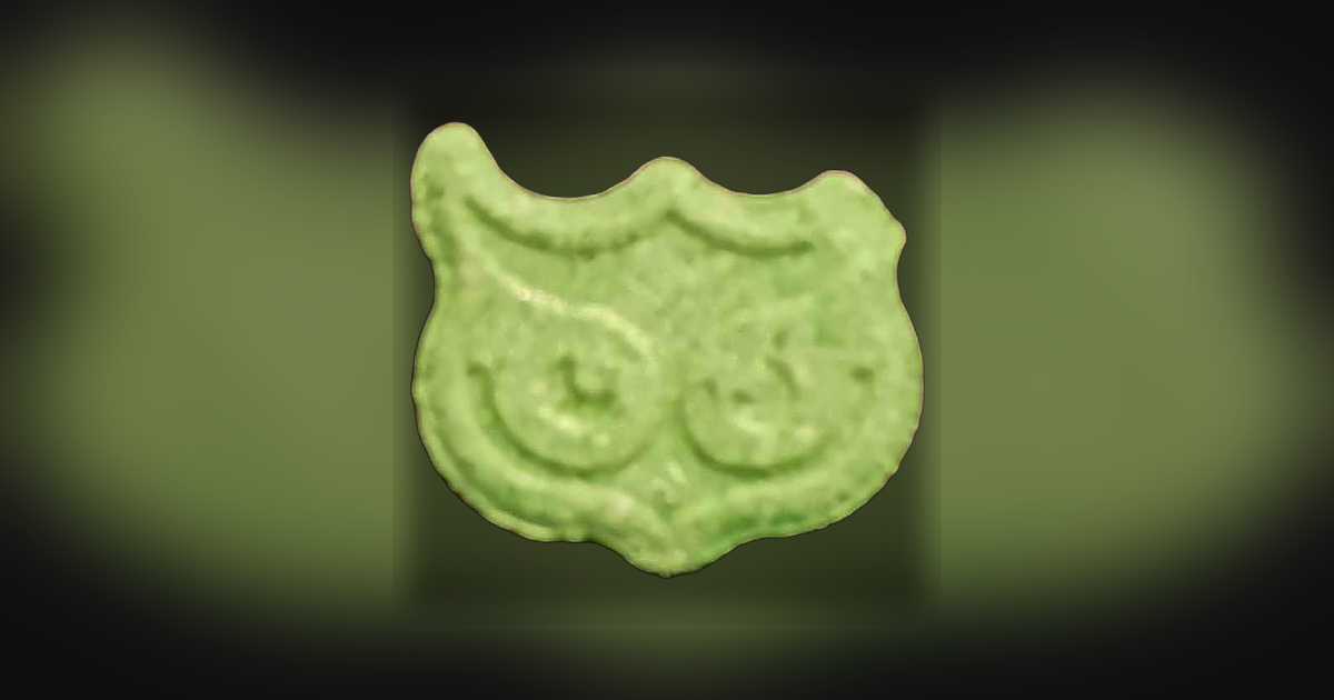 Panama, Owl