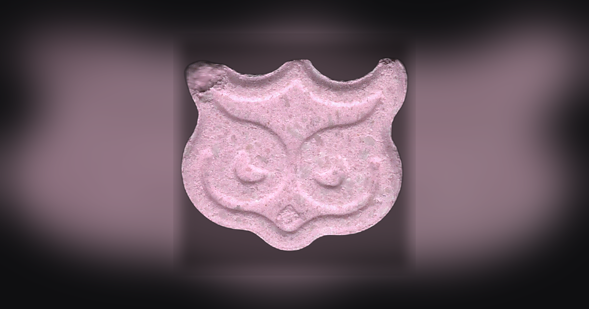 Panama, Owl