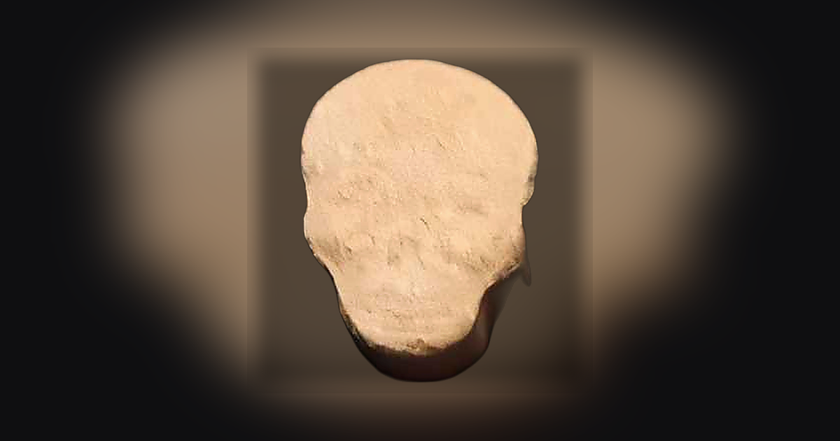 Skull