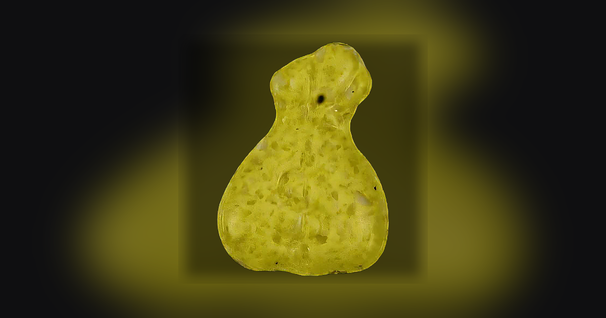 Money Bag