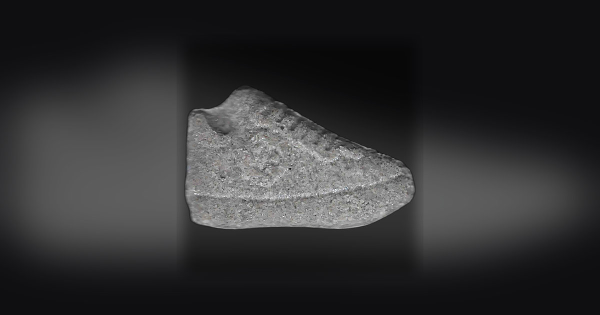 Sneakers, QP