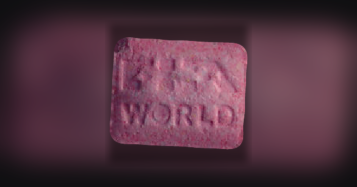 Fia World, 33