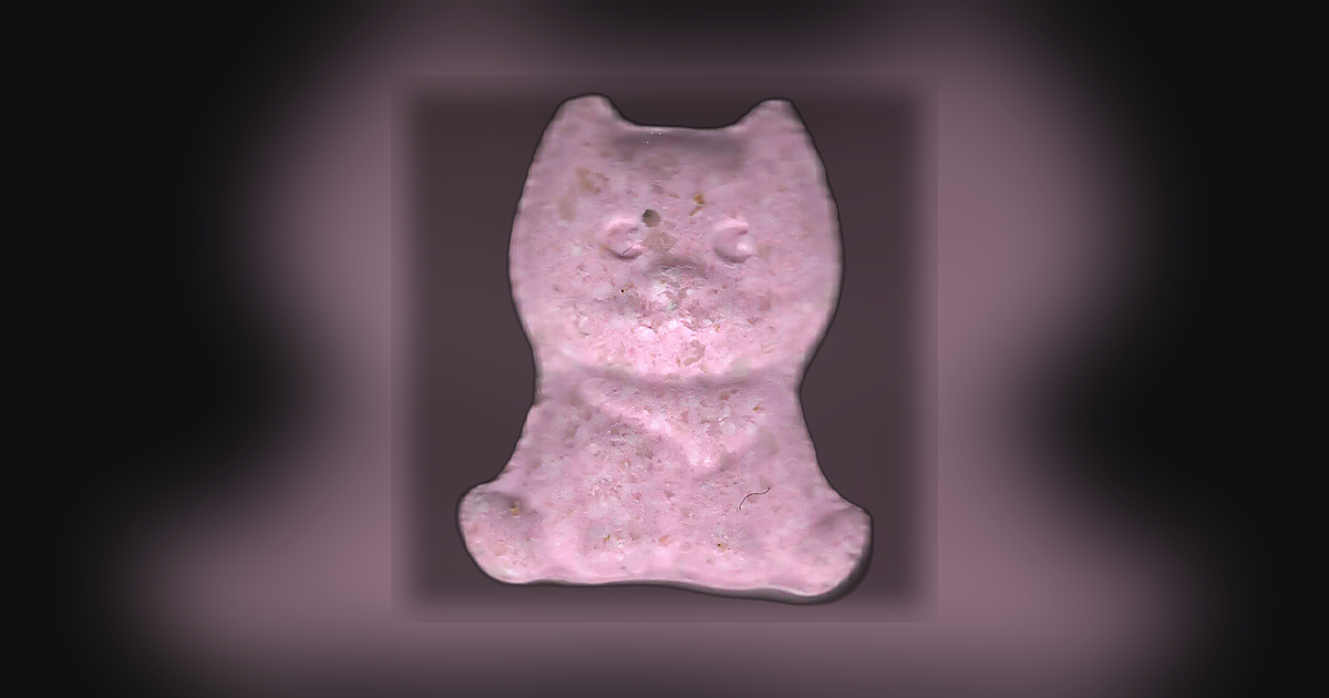 Shiba