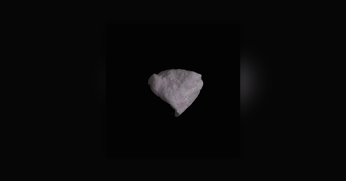 Procaine (93%); Cocaine (0%)