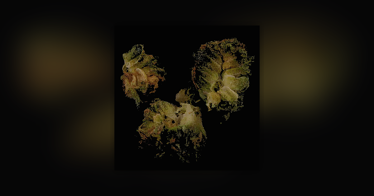 ADB-BUTINACA; THC; CBD; CBG