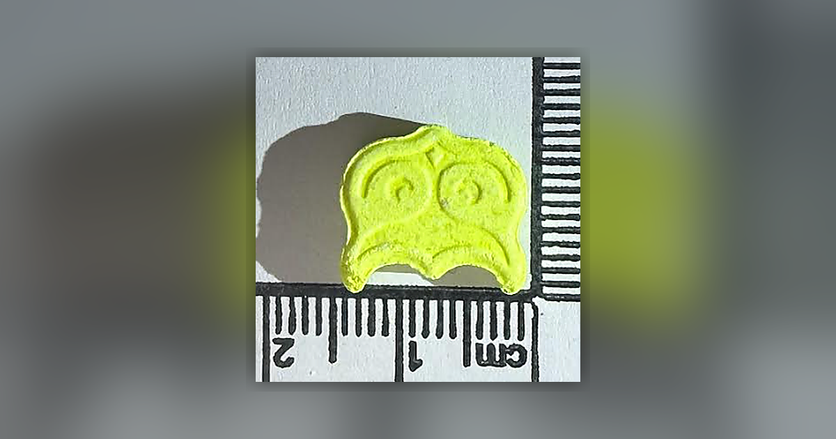 Panama, Owl