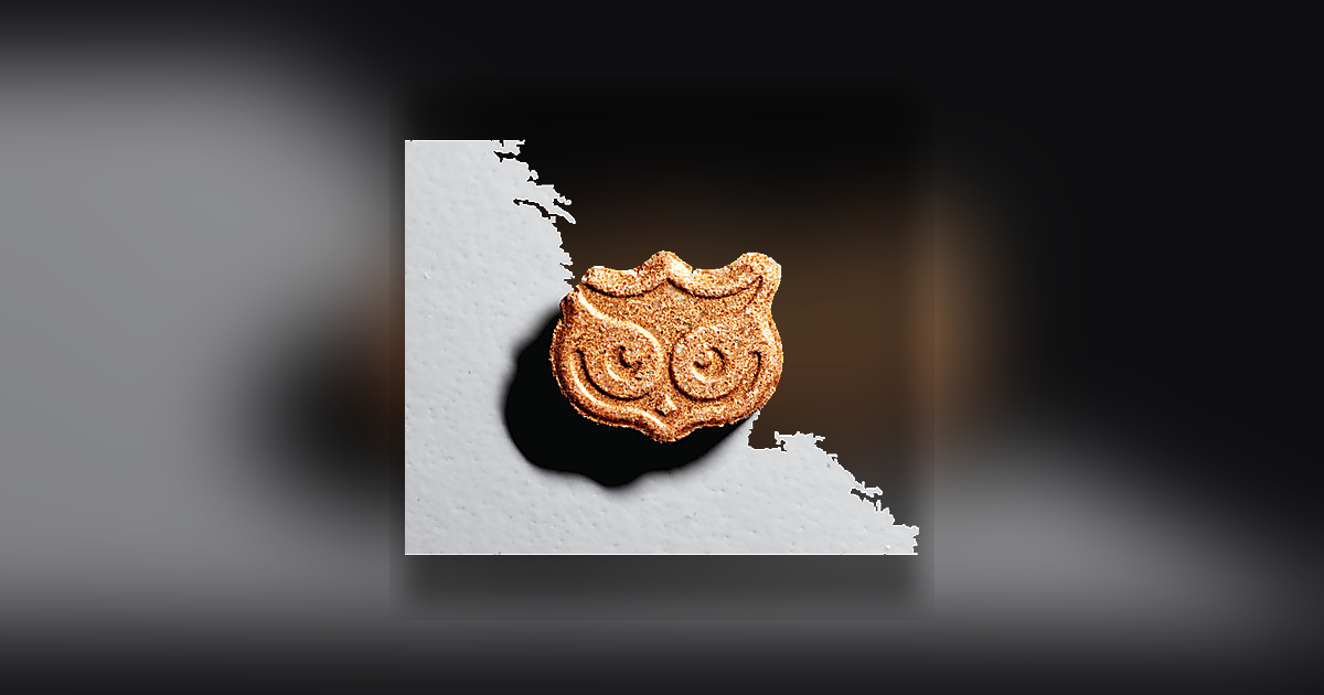 Panama, Owl, Trip Advisor