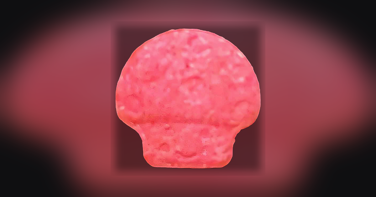 Mushroom