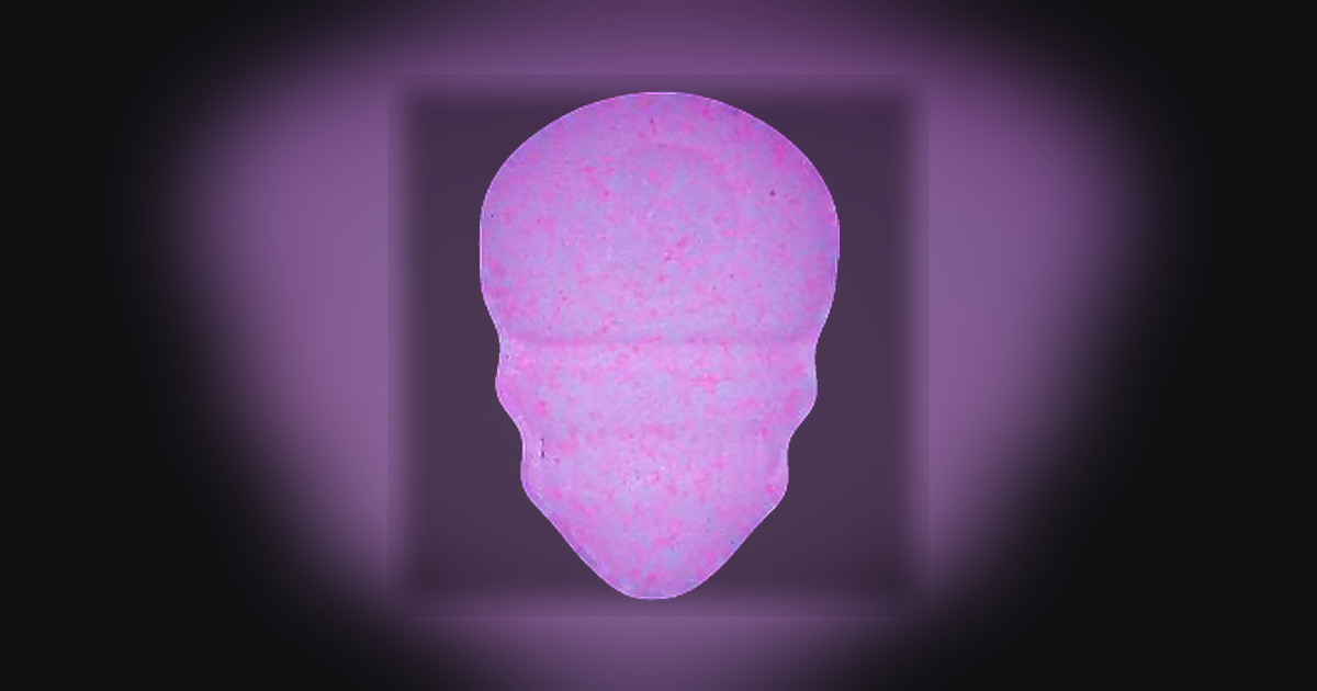 Skull, MyBrand