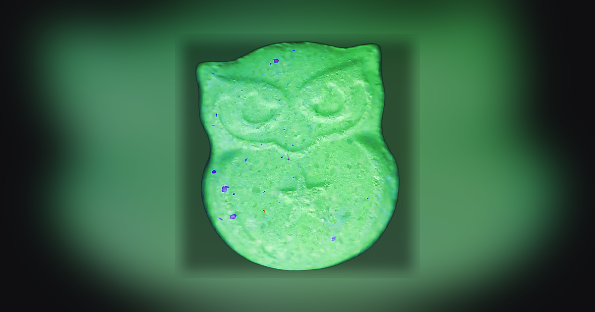 Panama, Owl