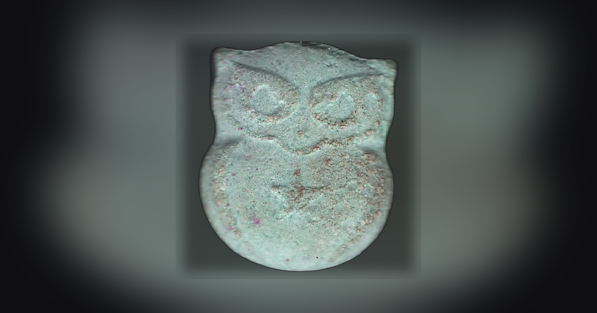 Panama, Owl