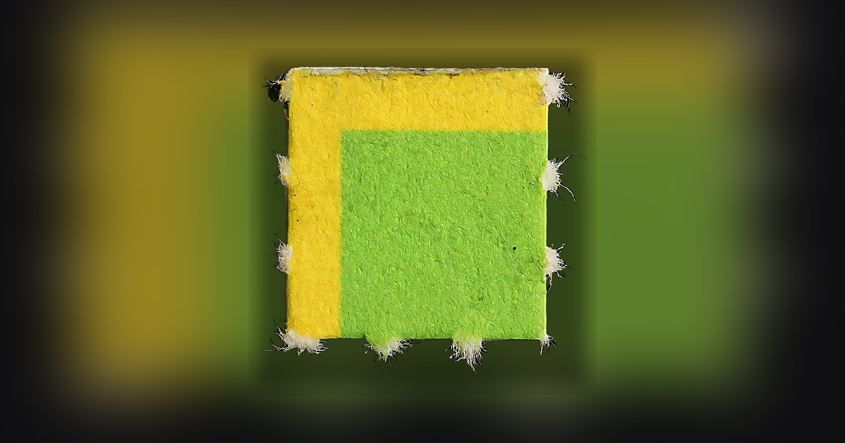 LSD (250µg); Synthesis impurity