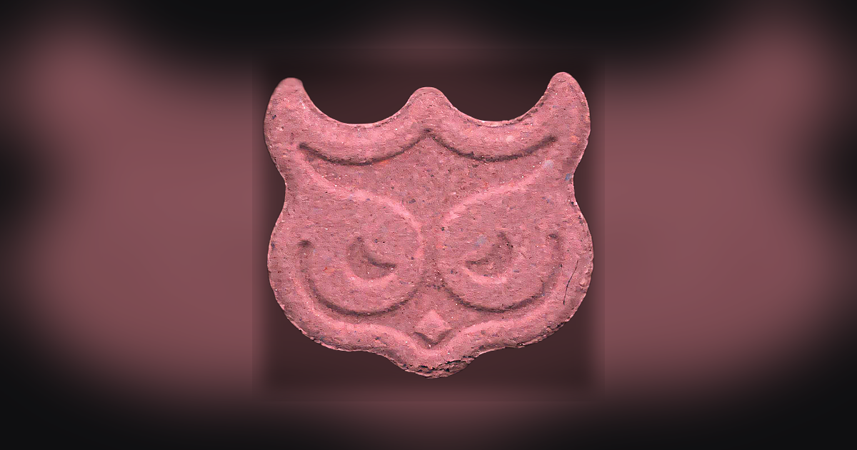 Panama, Owl