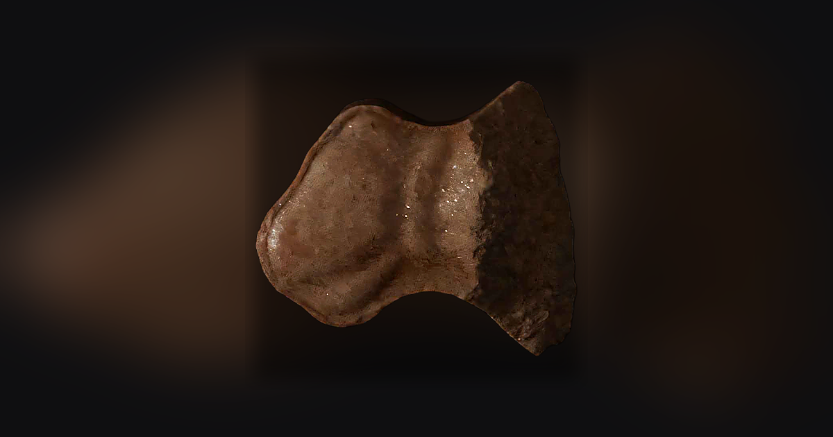 Money Bag