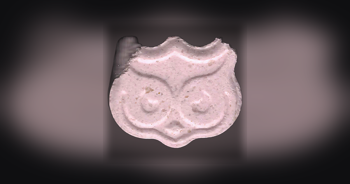 Panama, Owl