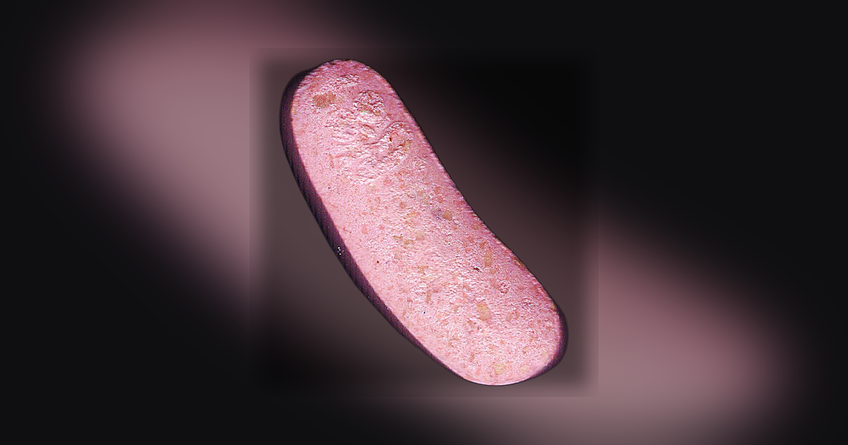 Pickle Rick