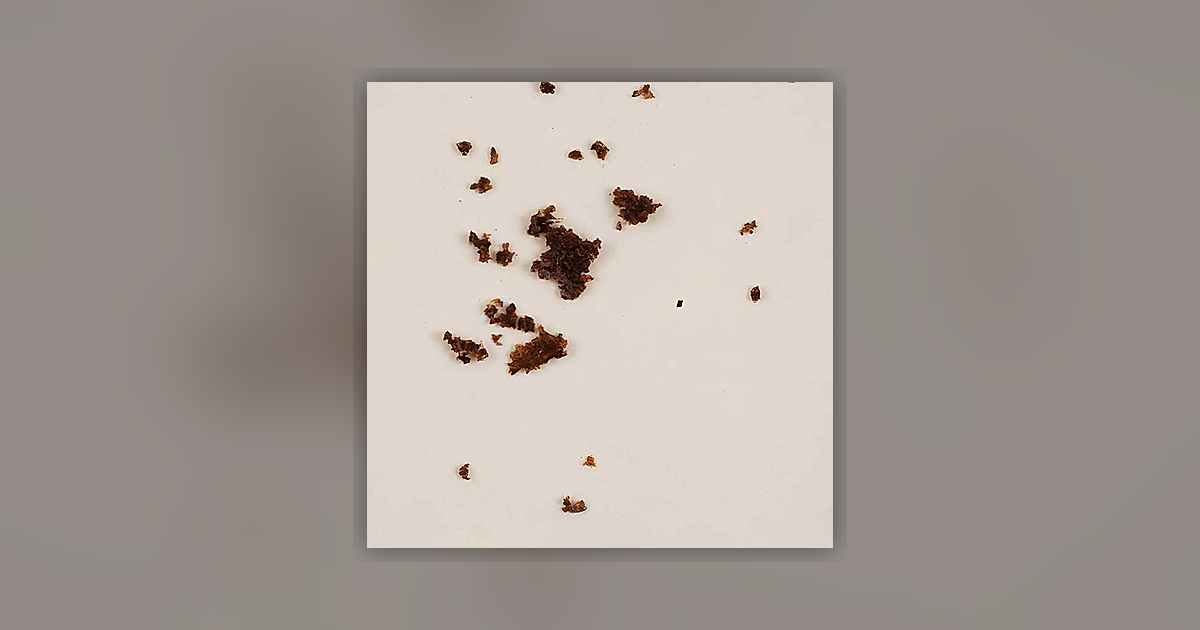 Heroin (0.3%); Caffeine (37%); Paracetamol (31%); Noscapine (8%); 6-MAM (1,5%); Papaverine (0.2%); Acetylcodeine (0.3%); Morphine (0.3%)