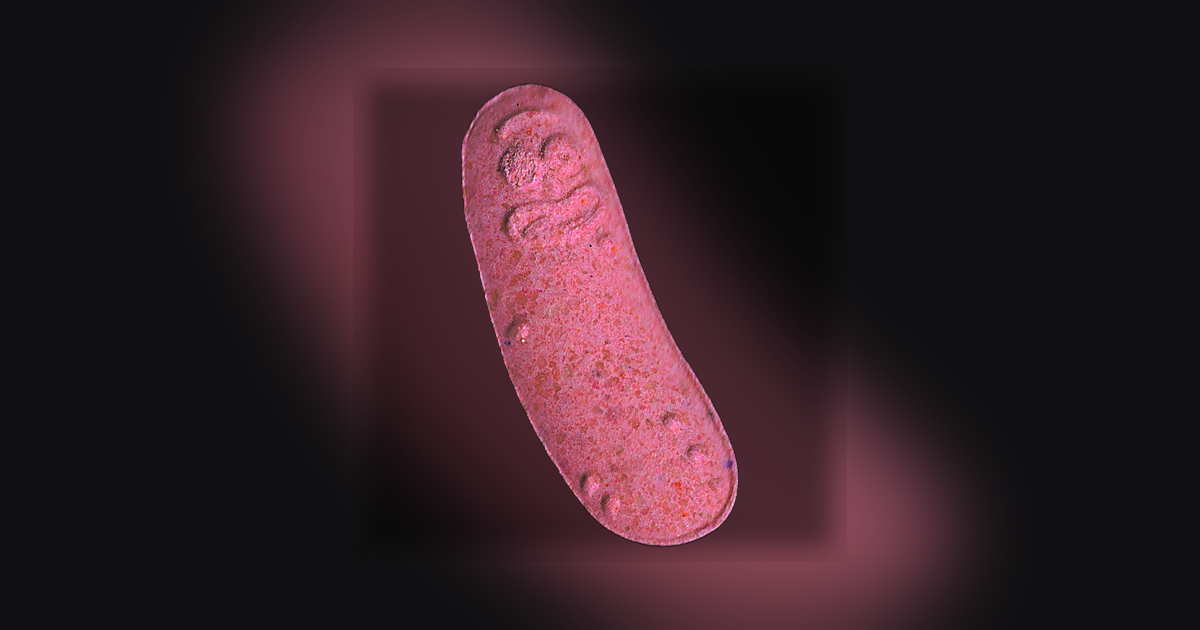 Pickle Rick