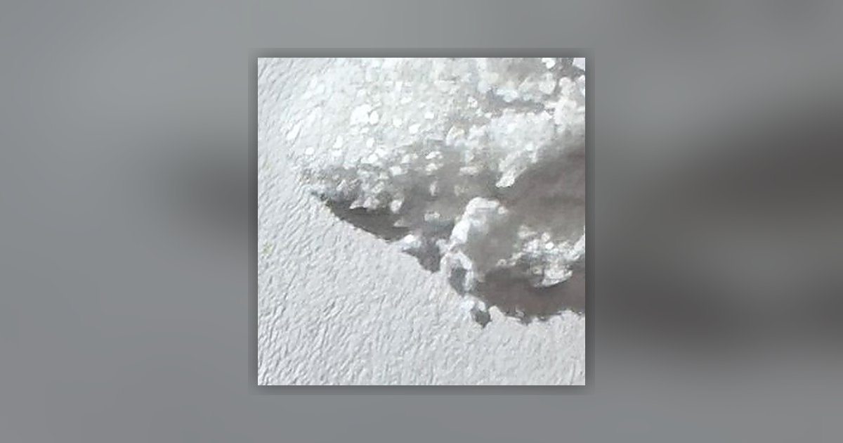 Cocaine; Levamisole (43%); Procaine (23%)