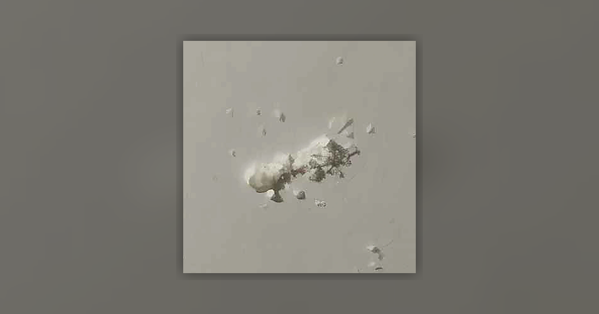 Amphetamine (92%)