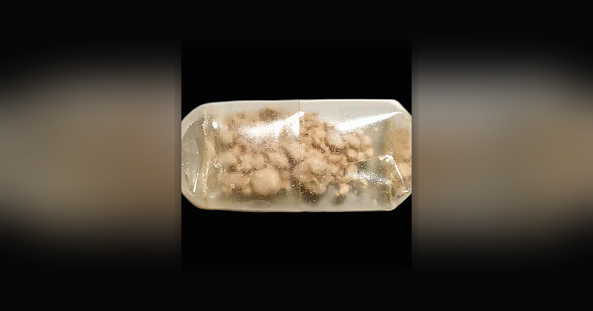 2C-B (91%); Unknown