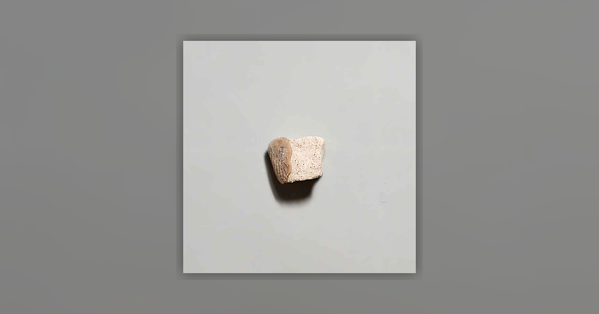 Paracetamol (67%); Caffeine (31%)