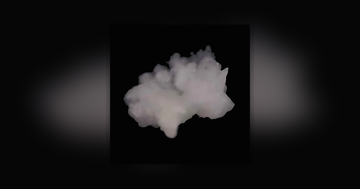 Amphetamine (81%); Caffeine (0.4%); DPIA