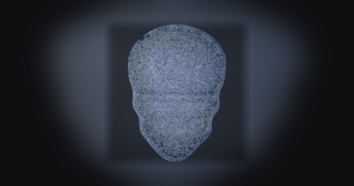 Skull, MyBrand