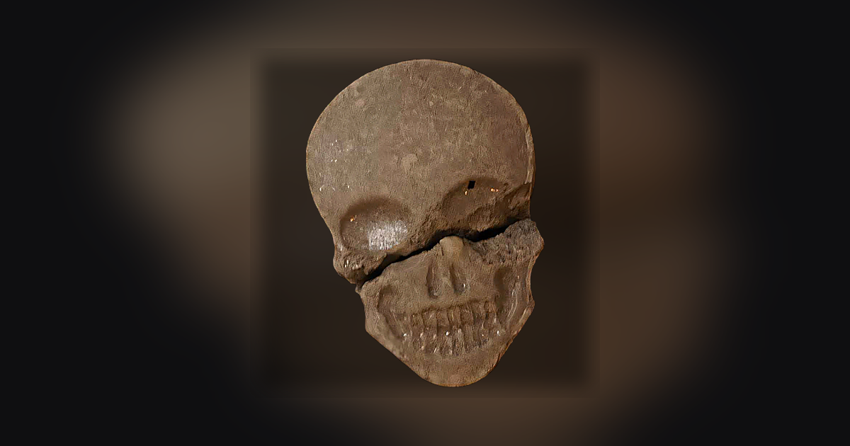 Skull, MyBrand