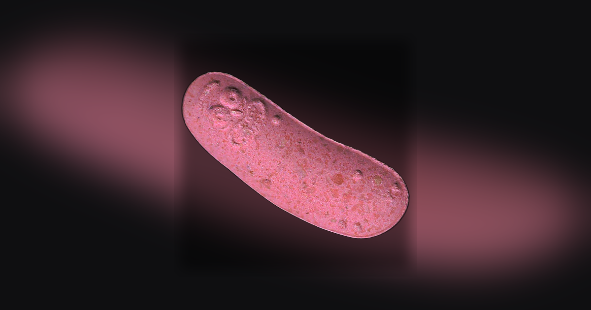 Pickle Rick