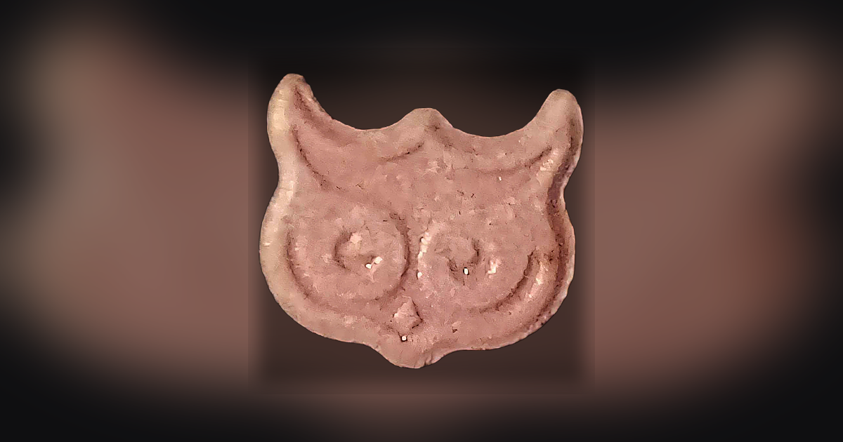 Panama, Owl