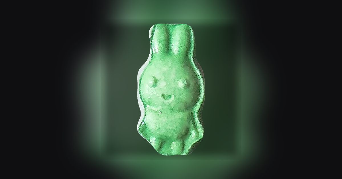 Rabbit