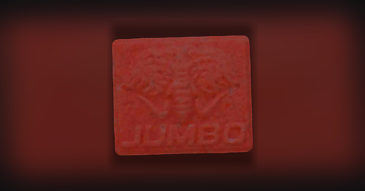 Jumbo, NL