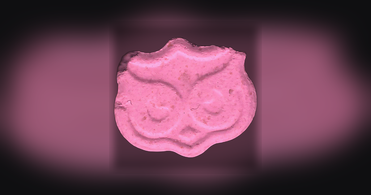 Panama, Owl