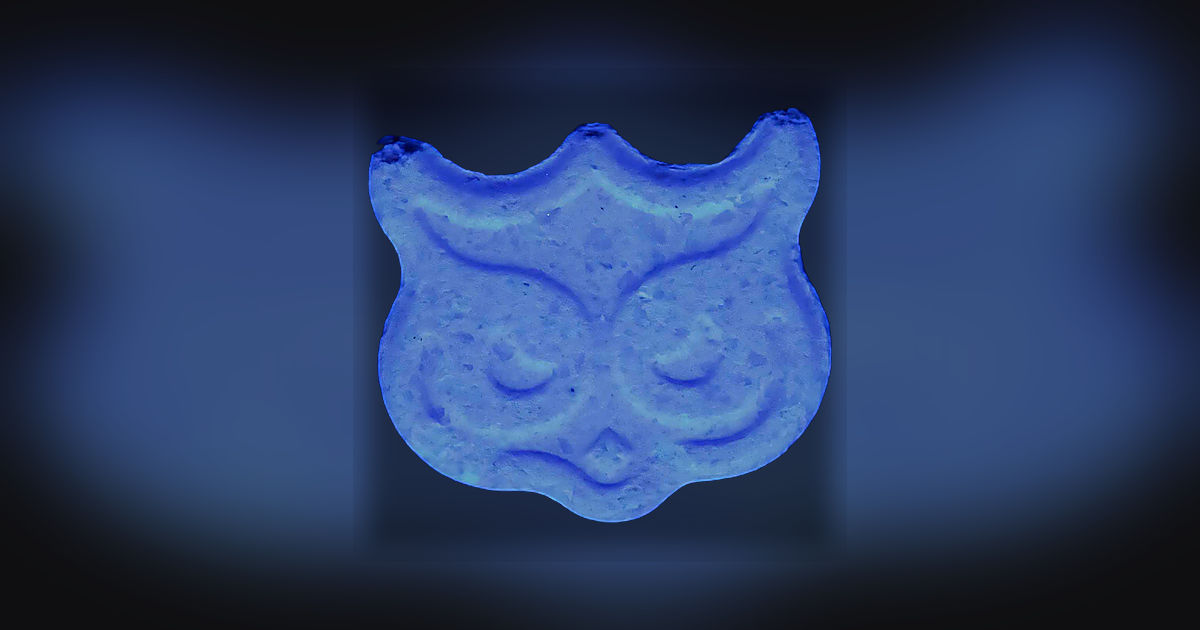 Panama, Owl