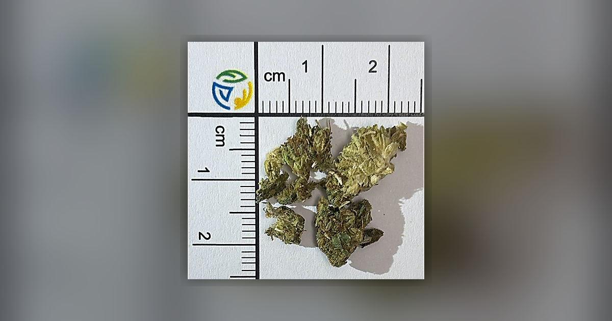 MDMB-4en-PINACA; CBD