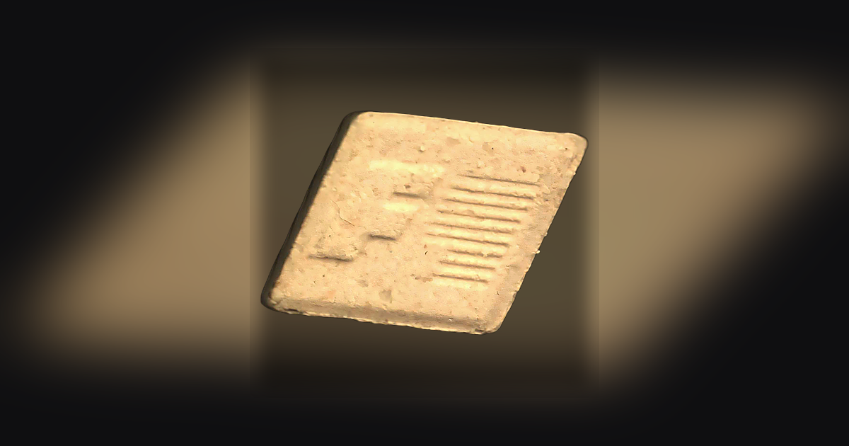 F1