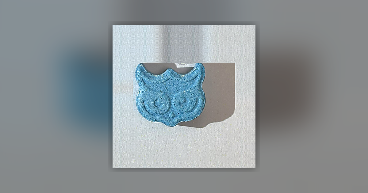 Panama, Owl